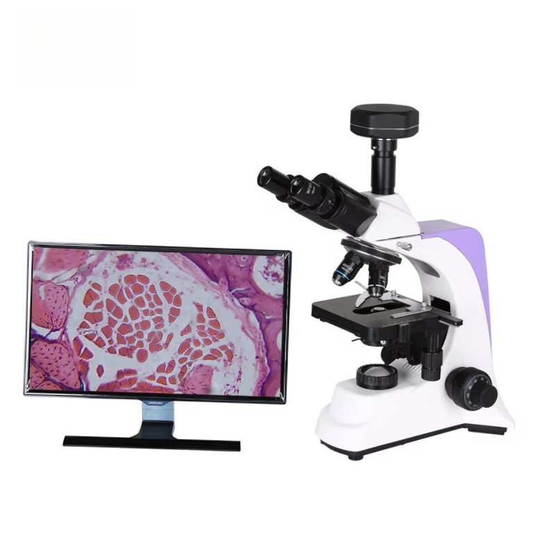 Medical Lab Scientist - 2026 Medizinisches Labor-Digitalmikroskop für Wissenschaftler und