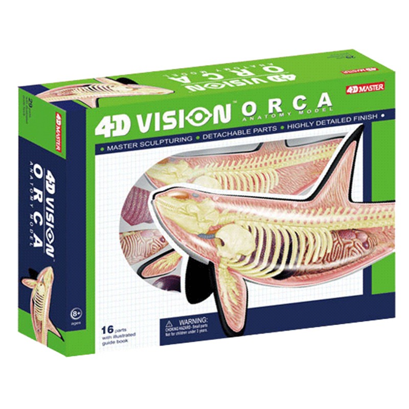 Medical Lab Scientist - 4D Vision Orca Wal Skelett Anatomie